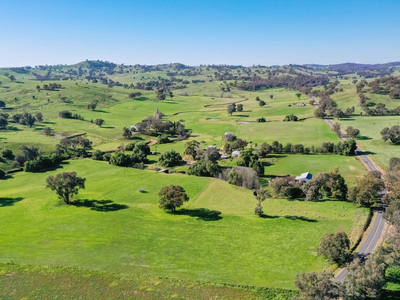 Rural properties for Sale in Jindera, NSW 2642