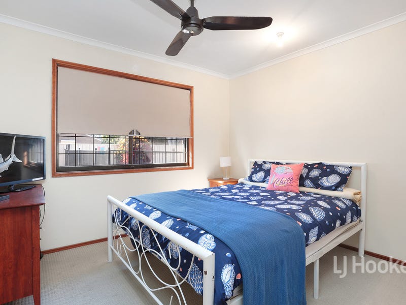 17 Allamanda Drive Bongaree Qld 4507 House For Sale Realestate Com Au