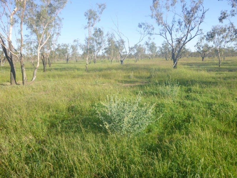 434 Hungerford Road, Thargomindah, Qld 4492 Property Details