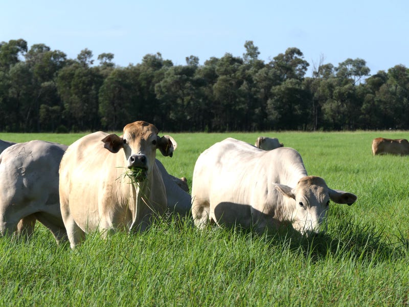 Real Estate & Property for Sale in aura