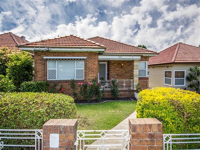 127 Edith Street, Waratah, NSW 2298