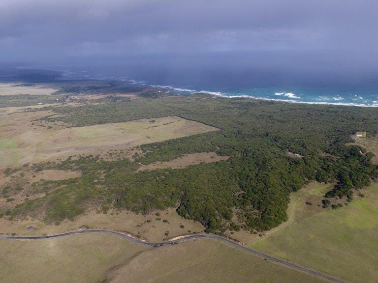 Lot 3 South Road, Nugara, Tas 7256 - Other for Sale - realestate.com.au