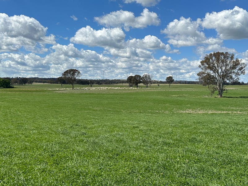 Ivanhoe Little Plains Road, Boorowa, NSW 2586 Property Details