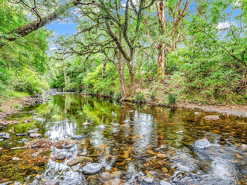 Rural properties for Sale in Carrabolla, NSW 2311