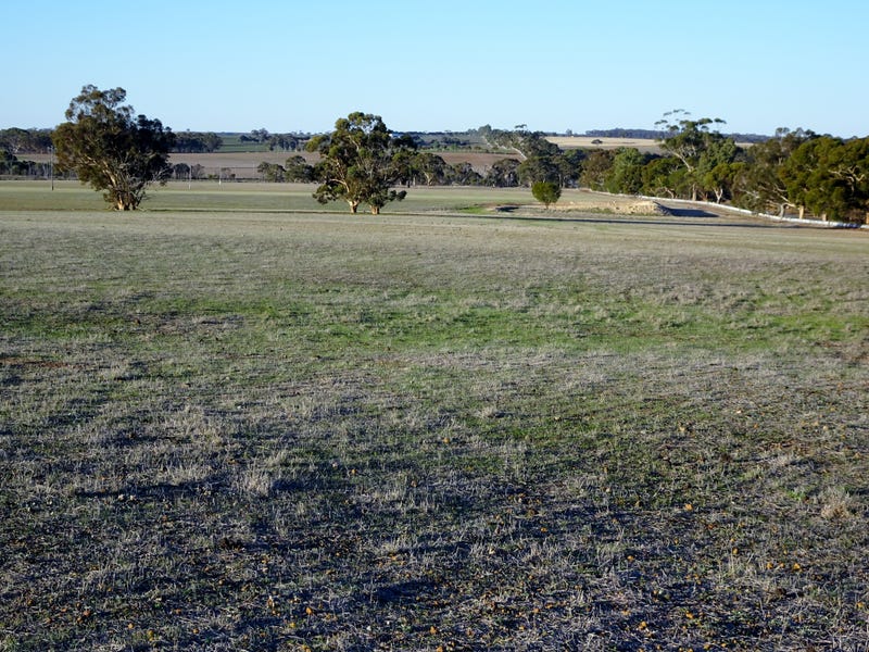 Lot 4395 Williams Kondinin Rd, Narrogin, WA 6312 Property Details