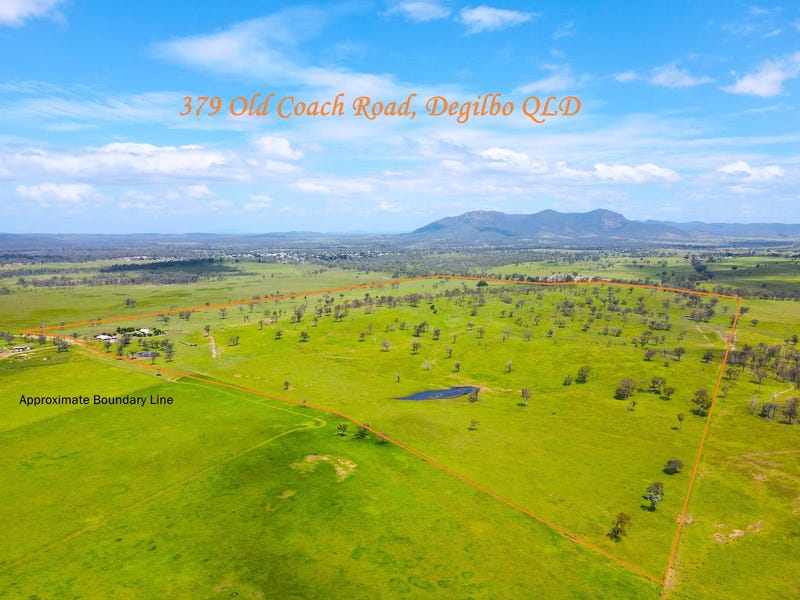 379 Old Coach Road, Biggenden, Qld 4621 Livestock for Sale