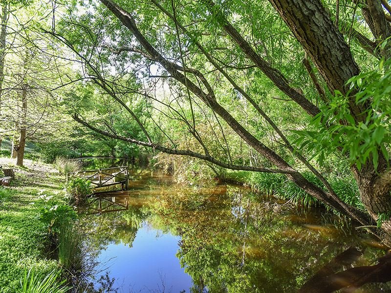 13 Gould Road, Stirling, SA 5152 Property Details