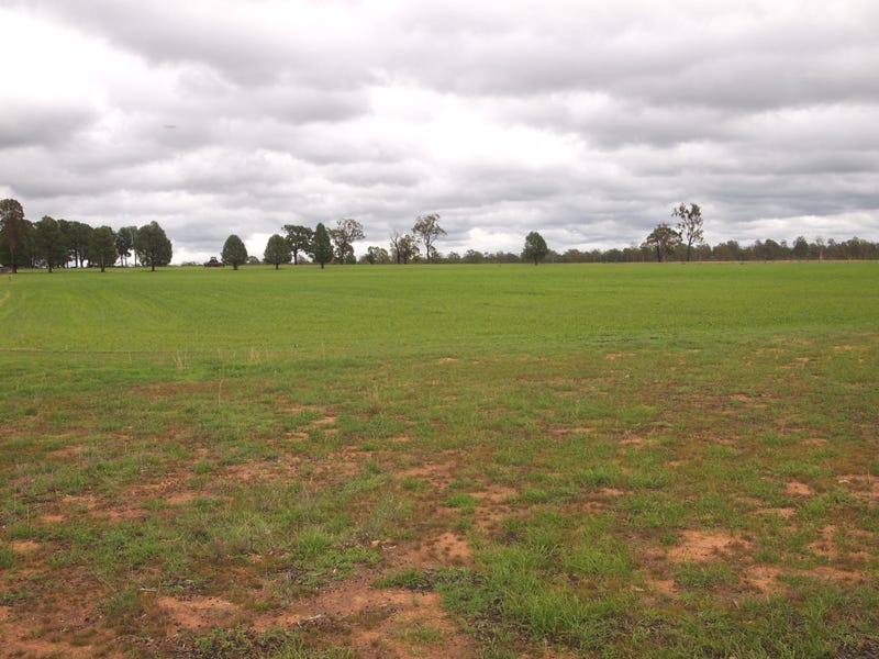 Real Estate & Property for Sale in Stonehenge, QLD 4357