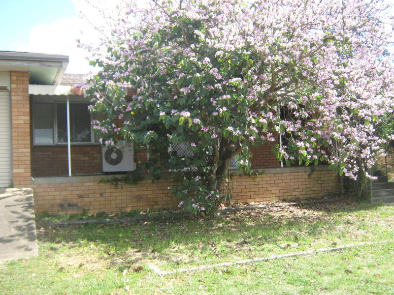 212 Gympie Connection Road, Victory Heights, QLD 4570