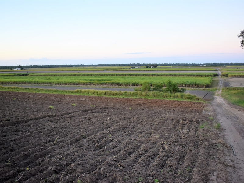 399 Lindemans Road, Moore Park Beach, QLD 4670