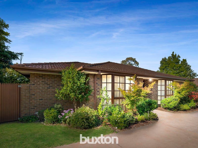 1/244 Lawrence Road, Mount Waverley, VIC 3149
