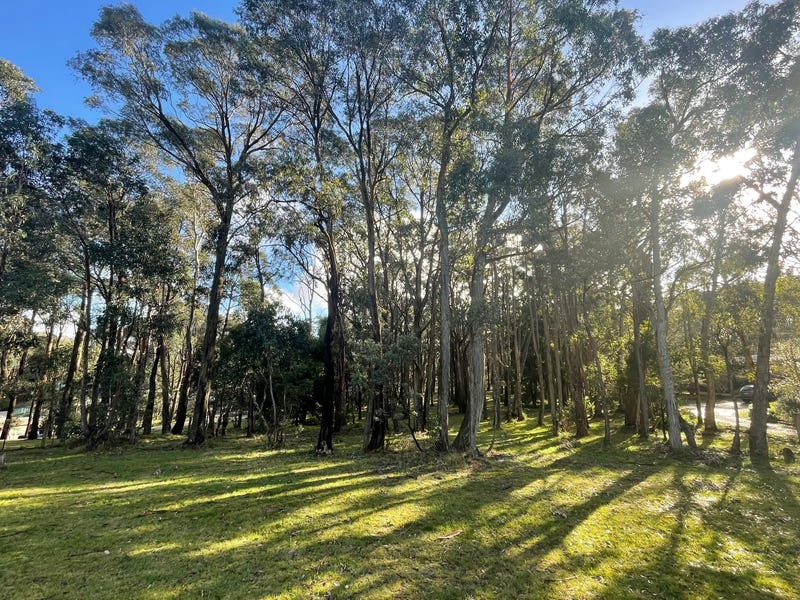 153 Dales Creek Avenue, Dales Creek, VIC 3341