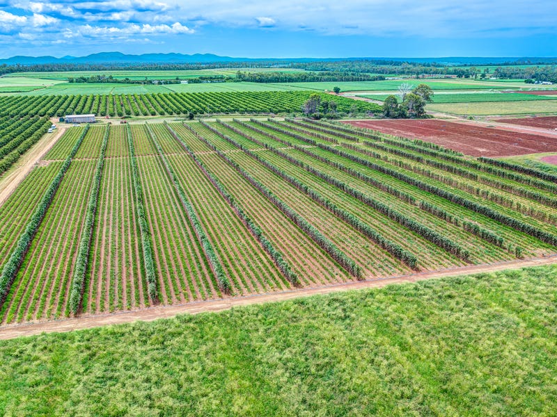 66 McLeods Road, Bullyard, Qld 4671 Cropping for Sale