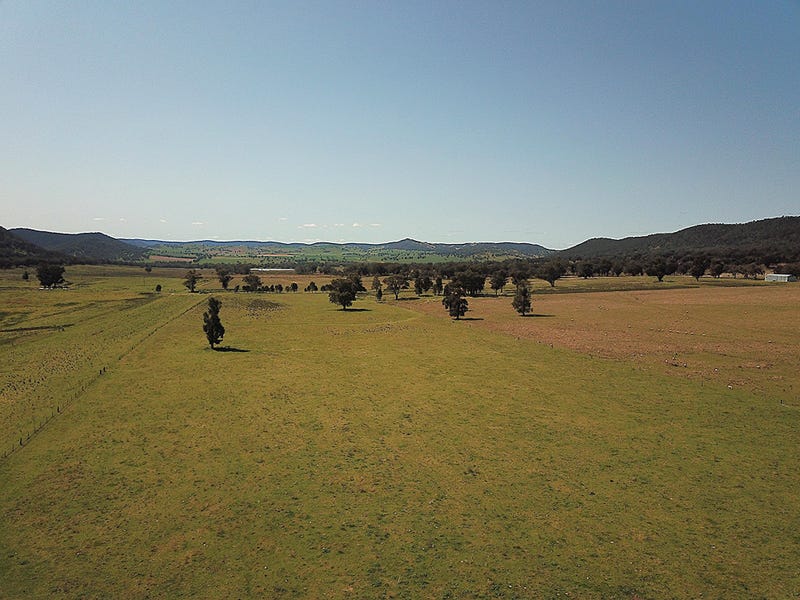 Real Estate & Property for Sale in Forbes, NSW 2871 (+1 location) Pg