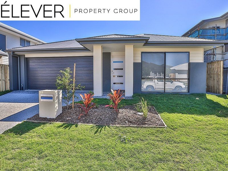 12 Buccaneer Street, Newport, QLD 4020