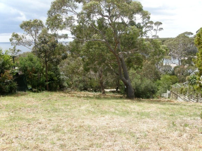 40 Treloggen Drive, Binalong Bay, TAS 7216