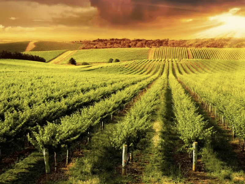 Margaret River address available on request House for Sale