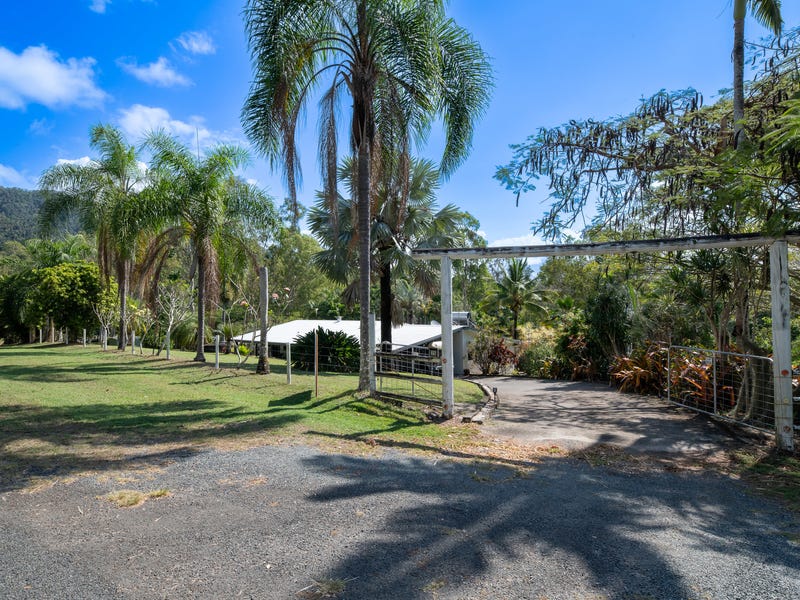 25 Wattle Road, Cannon Valley, Qld 4800 House for Sale realestate