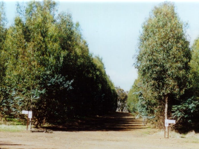 Mcalinden Rosewood Rd Boyup Brook Wa 6244 Mcalinden Rosewood Rd Boyup Brook Wa 6244