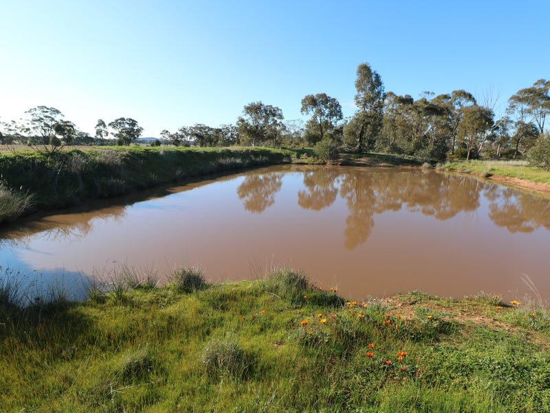 Eucy Road, Korong Vale, Vic 3520 Other for Sale