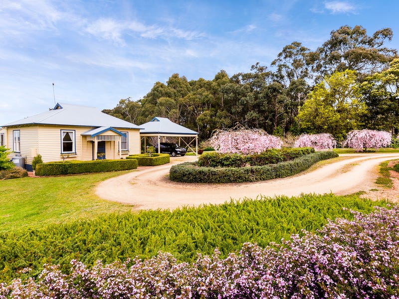 427 Arthurs Seat Road, Red Hill, Vic 3937 House for Sale realestate