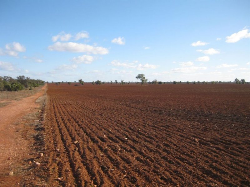 * Timbery, Cobar, NSW 2835 Property Details