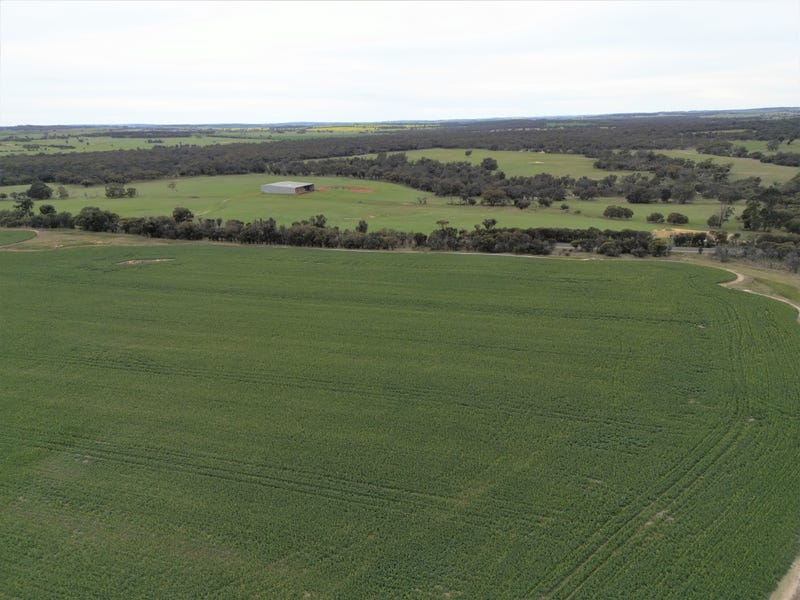 Rural properties for Sale in WA Pg. 19