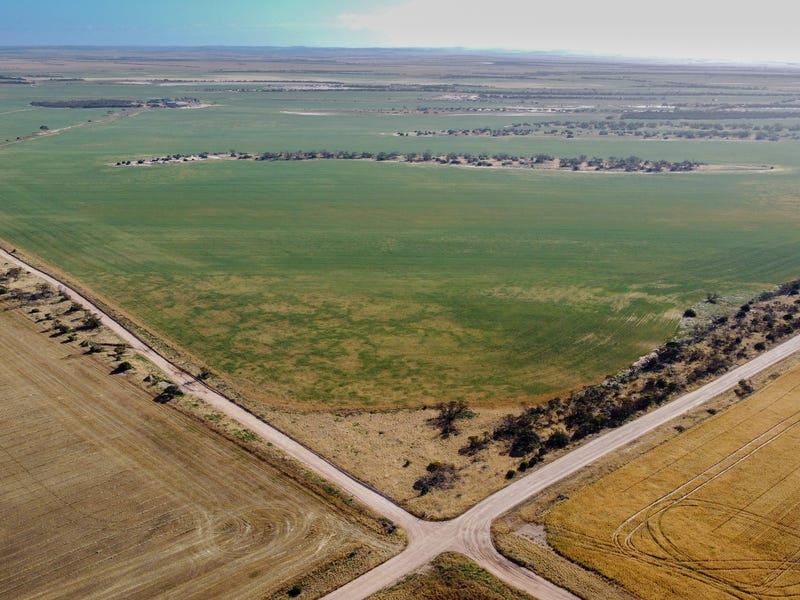 177 Taragoro Road, Rudall, SA 5642 - Other for Sale - realestate.com.au