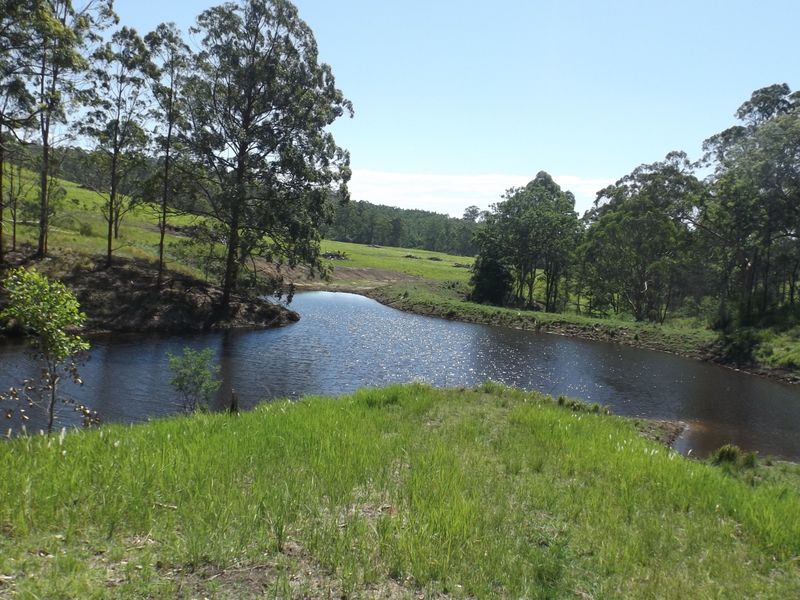 1284 Beaury Creek Road, Urbenville, NSW 2475 Mixed Farming for Sale