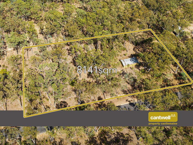 90 Fryers Road, Campbells Creek, VIC 3451