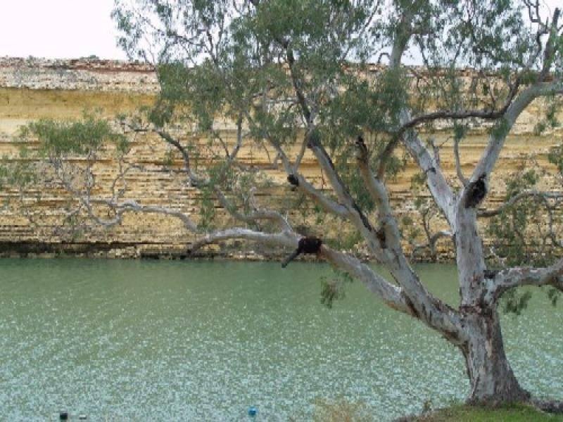 Lot 40 Riverbanks Estate, Blanchetown, SA 5357 Property Details