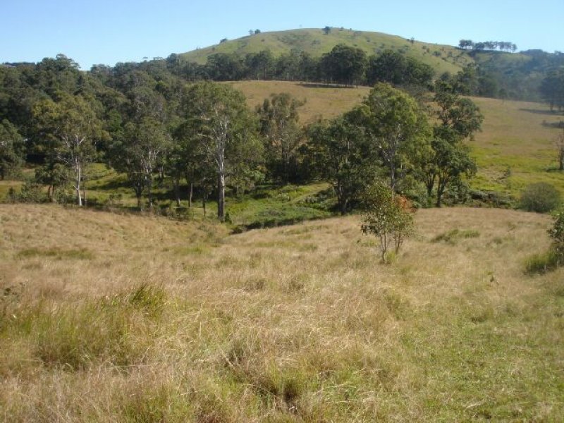 Belbora Creek Road, Belbora, NSW 2422 - Property Details