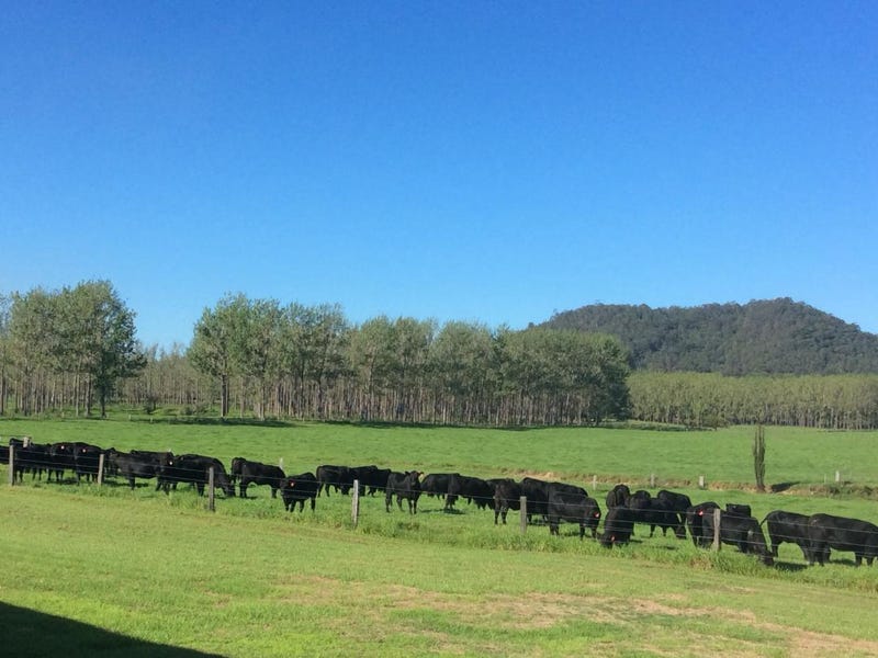 734 Glen William Road, Glen William, NSW 2321