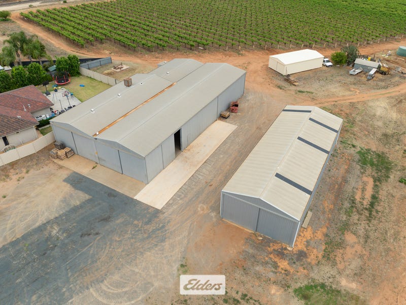 5 Murray Avenue, Red Cliffs, Vic 3496 Viticulture/vineyard for Sale