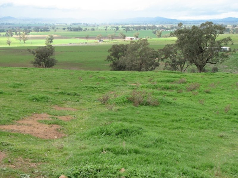 169 Cultowa Lane, Canowindra, NSW 2804 Property Details