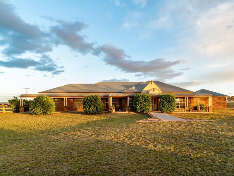 117 Minimbah Drive, Singleton, NSW 2330 Acreage for Sale realestate