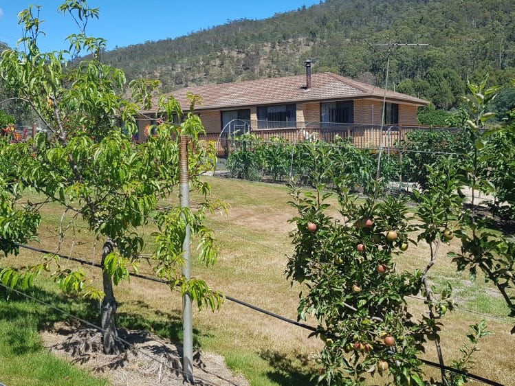 462 Plenty Valley Road, Glenfern, TAS 7140