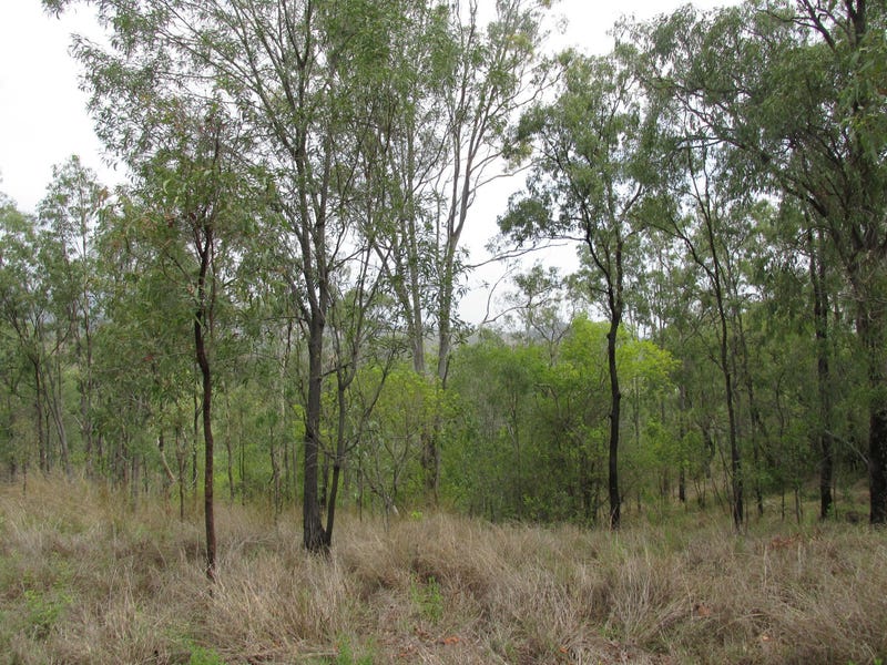 Lot 20 Bruce Highway, Kolonga, Qld 4671 - Residential Land for Sale ...