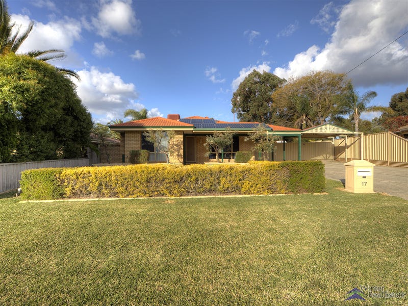 Spring Gardens School High Fasci Garden