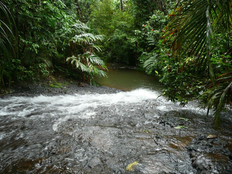 389 Camp Creek Road, Camp Creek, QLD 4871