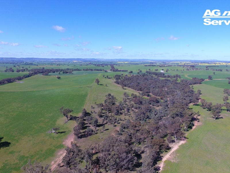 163 German Church Road, Mangoplah, NSW 2652 - realestate.com.au