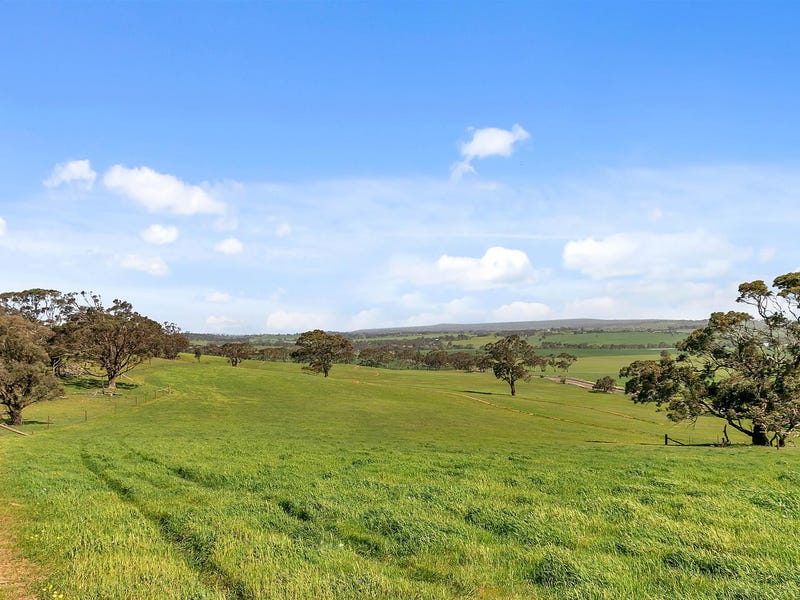 Lot 3004 Duck Ponds Road, Moculta, SA 5353 Property Details