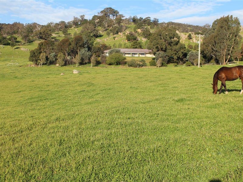 1167 Creightons Creek Road, Creightons Creek, VIC 3666