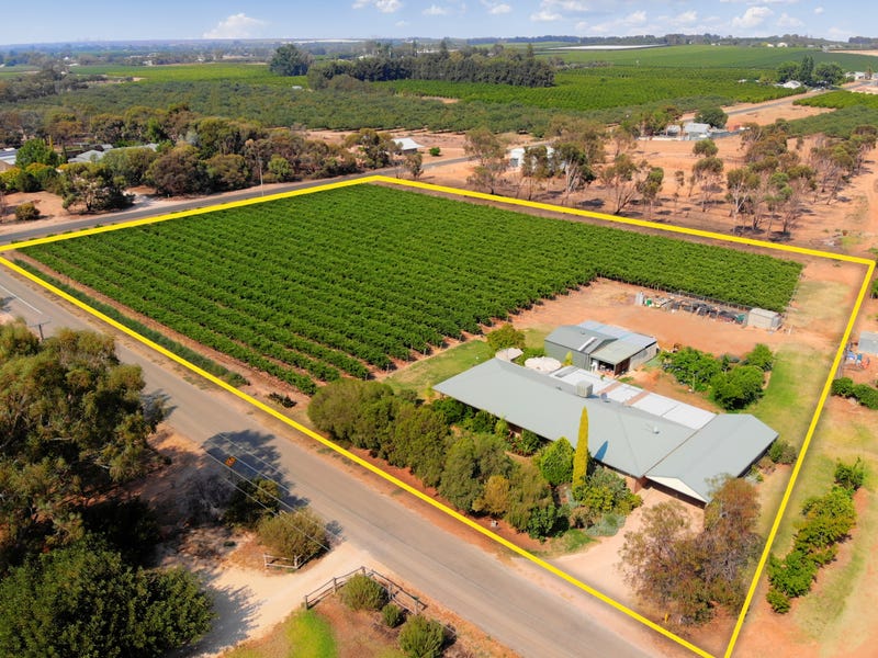 26 Kulkyne Street, Renmark West, SA 5341