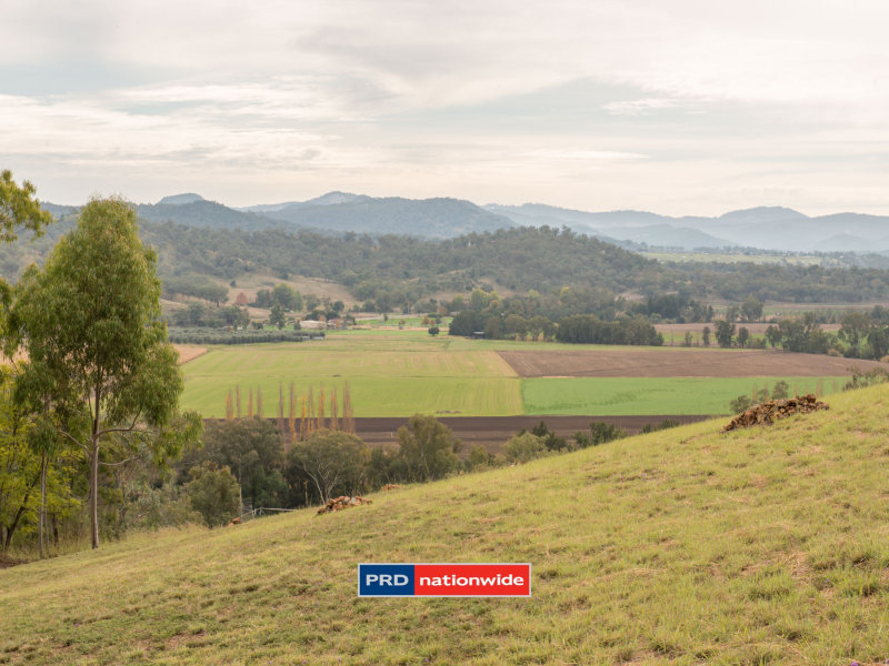 240 Back Kootingal Road, Nemingha, NSW 2340