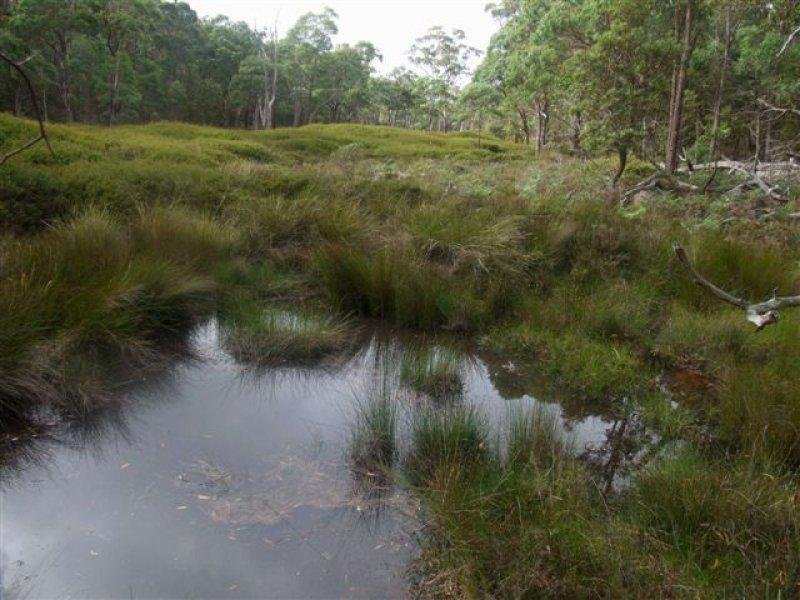 164 Brushy Park Road, Dundee, NSW 2370 Property Details