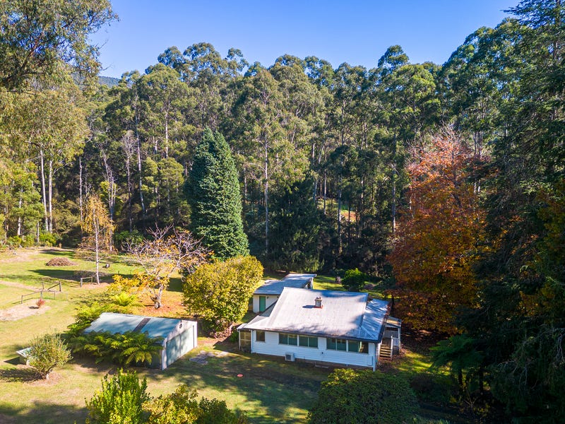 220 Big Pats Creek Road, Big Pats Creek, Vic 3799 - Realestate.com.au