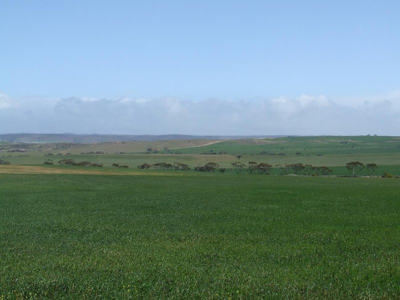 Mannum Road, Mannum, SA 5238 Property Details