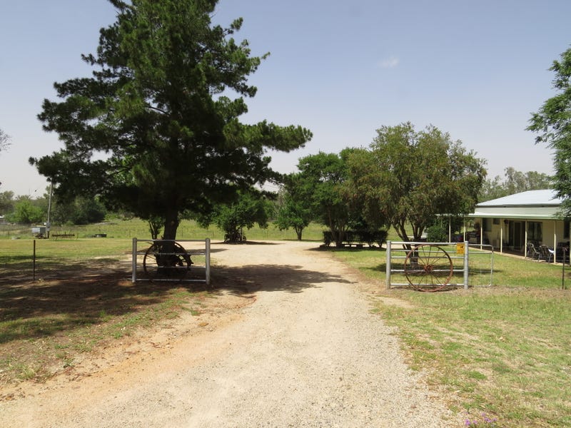245 Mosquito Creek Road, Warialda, NSW 2402 Property Details