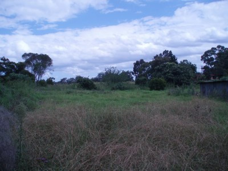 8 Pinus Avenue, Glenorie, NSW 2157